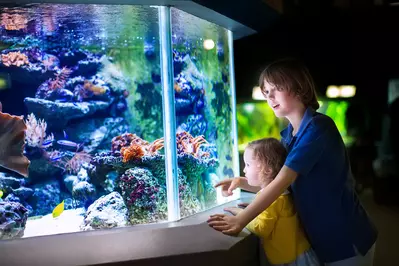 shutterstock_525311212